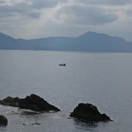 Quinto - Nervi1550